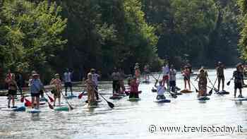 Tutti in SUP per esplorare Silea lungo il fiume Sile - TrevisoToday