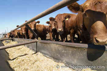 Class action lawsuit against beef processors proceeds
