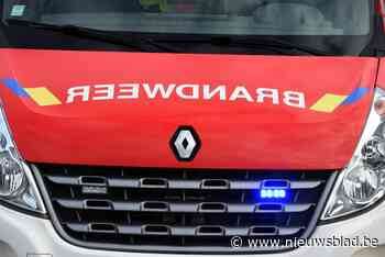 Kraaiennest veroorzaakt schouwbrand