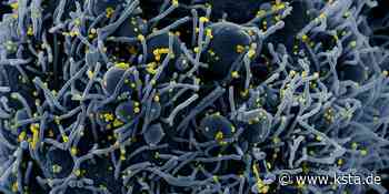 Corona im Kreis Euskirchen: Inzidenz leicht gestiegen - Kölner Stadt-Anzeiger