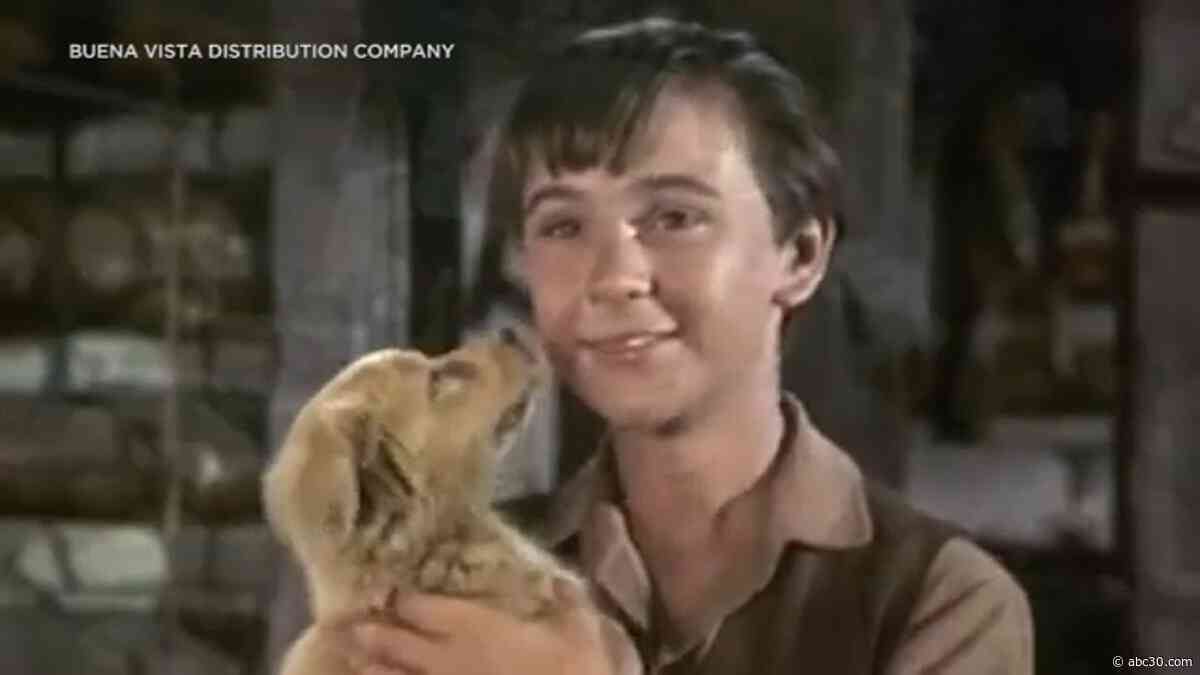 Tommy Kirk Today