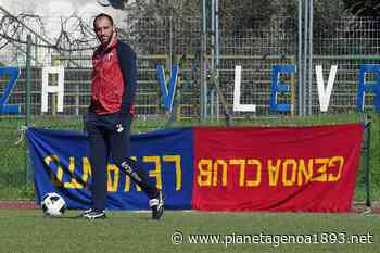 ESCLUSIVA, STELLINI: «Americani, pronti: al Genoa sono emozioni forti» - Pianetagenoa1893.net
