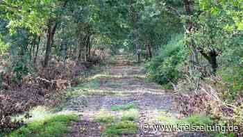 Vorbereitungen für Bahnbetrieb auf der früheren Strecke Sulingen-Nienburg - kreiszeitung.de