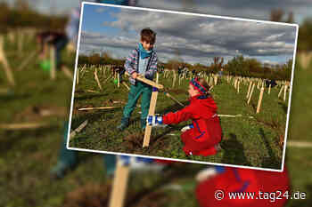 Dresdner Naturschützer "Mein Baum – mein Dresden" feiern wieder Pflanz-Partys! - TAG24