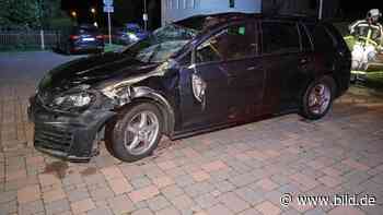 Sachsen: Volkswagen fährt zwei Pferde tot - BILD