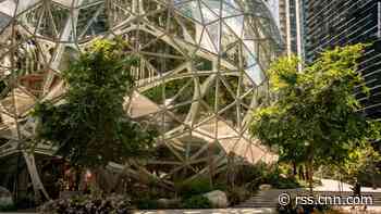 Amazon settles case with former employees who claim they were illegally fired