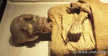If mummies had faces: Scientists use DNA to see how ancient Egyptians looked     - CNET