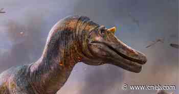 'Horned crocodile-faced hell heron' dinosaur terrorized prey on land, in water     - CNET