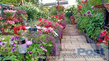 Is this Barking and Dagenham's best home garden? - Barking and Dagenham Post