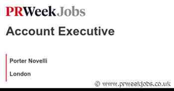 Porter Novelli: Account Executive