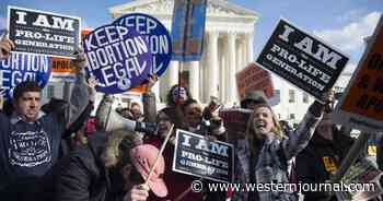 Biden Nominee Argued Brutal Abortion Procedure Should Not Be Banned Simply Because of 'Grossness'