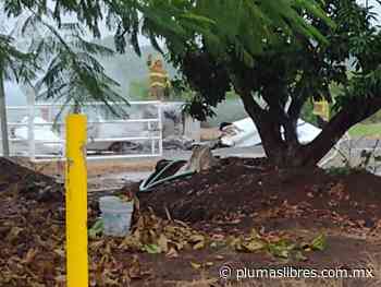 Muere piloto tras desplome de avioneta en San Rafael - plumas libres