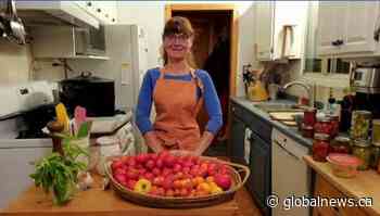 Global News Morning Peterborough: Talking tomatoes with Jennifer MacKenzie | Watch News Videos Online - Globalnews.ca