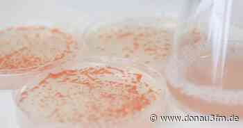 Universität Ulm: Schwerpunkt-programm zu CRISPR-Cas verlängert | DONAU 3 FM - DONAU 3 FM