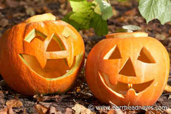Pick a Pumpkin event returns for another year - Barrhead News