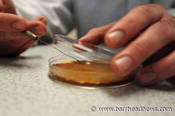 Science and medicine viewed as Britain's most valuable export – survey - Barrhead News