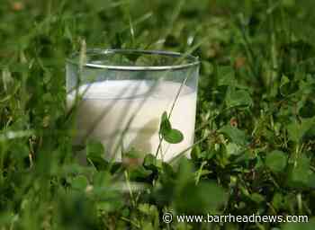 Arla increases its October milk price for producers - Barrhead News