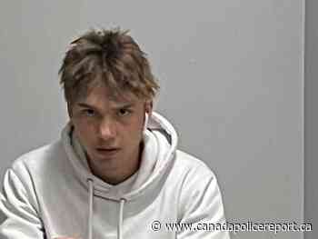 17-year-old Dmitriy Zotova Reported Missing in St. Albert, Alberta - Canada Police Report