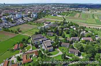 Hangweide Kernen - Gefühle und Tränen vor der Kamera - Stuttgarter Nachrichten