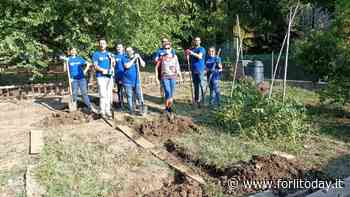 A Bertinoro gli orti delle scuole d’infanzia rimessi a nuovo grazie a una collaborazione speciale - ForlìToday