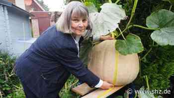 Heimischer Ernte-Erfolg: Tornesch: Im Garten von Dörte Garber wächst ein Riesen-Kürbis | shz.de - shz.de