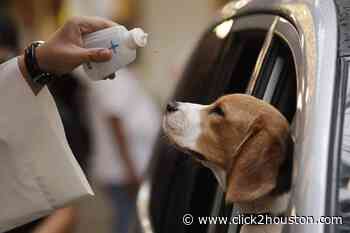LIST: Blessing of the Animals services happening in Houston - KPRC Click2Houston