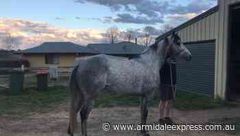 Lea Selby's new purchase paid off - Armidale Express