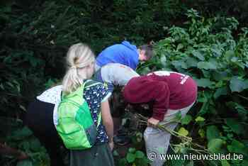 Jeugdbond voor Natuur en Milieu schiet uit de startblokken met groene actie - Het Nieuwsblad