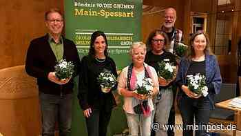 Ideenbörse bei den Grünen Marktheidenfeld - Main-Post