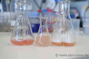 Vom Viren-Abwehrsystem zum molekularbiologischen Wunderwerkzeug