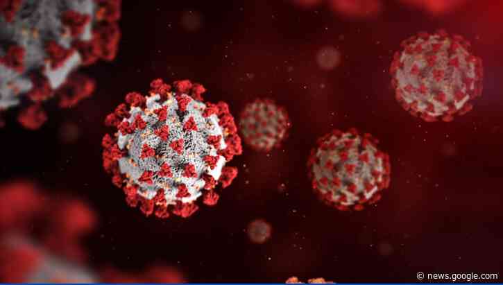 Another child dies of COVID in Virginia - WWBT NBC12 News