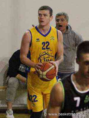 Ufficiale, la Farnese Pallacanestro Campli firma l'ala grande ucraina Anton Unechenskyi - - Basketmarche.it