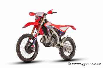 Honda CRF-RX 2022: ecco le nuove enduro dell’Ala Dorata - GPOne.com