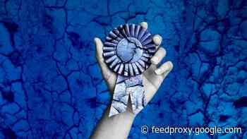 Science Why It’s Difficult To Enjoy Success