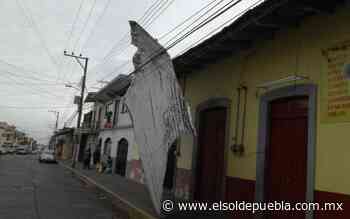 Caída de árboles y cortes de electricidad; saldo de fuertes vientos en la Sierra Nororiental de Puebla - El Sol de Puebla