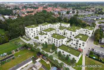 Bouw autoluw Zuidkwartier gaat in voorjaar 2022 van start: “Meer dan bakstenen”