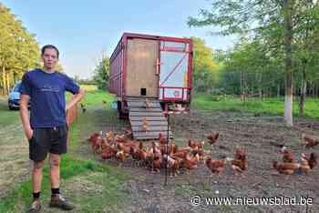 Kippenhok op wielen zorgt voor bio-eieren