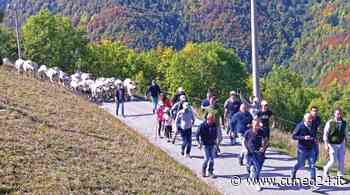 Confagricoltura Cuneo "Chi lavora e vive in montagna va tutelato con azioni concrete, non proclami" - Cuneo24