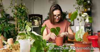 These 3 Kitchen Scraps Double As Food For Your Garden Plants - mindbodygreen.com