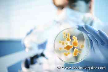 How can microbial quality control help reduce food waste? - FoodNavigator.com