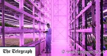 World’s largest vertical farm worked by robots sends food production onwards and upwards - Telegraph.co.uk