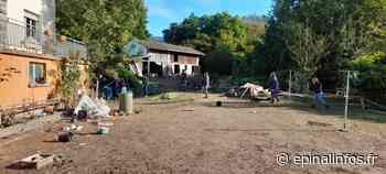 Vosges - Plus de 300 animaux sauvés par les associations - Epinal infos - Epinal Infos