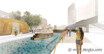 Toronto's new Indigenous spirit garden will feature a ten-ton stone turtle - blogTO
