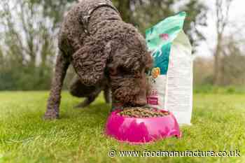 Pet food processing: how are human and animal tastes converging? - FoodManufacture.co.uk