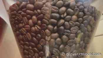 Aurora Coffee Shops Face Supply Chain Issues, Drought, Staff Shortages - CBS Denver