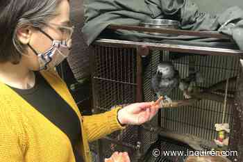 Head of nonprofit ACCT Philly, the city’s contracted animal shelter, resigns - The Philadelphia Inquirer