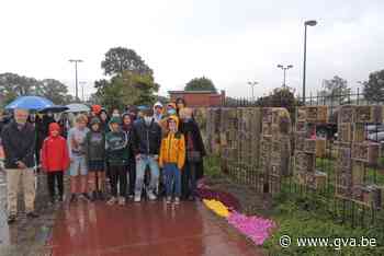 Vijftig jaar verbondenheid in bijenhotel van Berkenbeek (Wuustwezel) - Gazet van Antwerpen