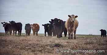 Don’t reach for your pour-on dewormer quite yet
