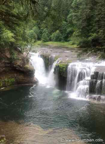 Vancouver man killed in fall at Lower Lewis River Falls east of Cougar - The Columbian