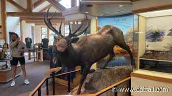 Fall River Visitor Center is a wildlife delight - Estes Park Trail-Gazette